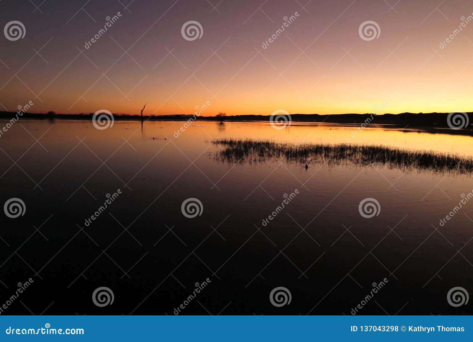 sunset on the bosque